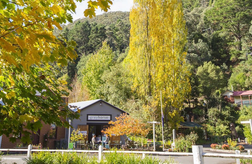 Walhalla'S Star Hotel Zewnętrze zdjęcie
